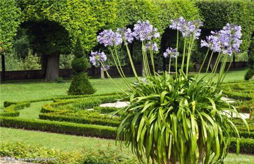 ж! 2020սͼ:48ɽ ¹ű